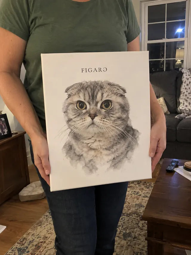 Illustrative Portrait examples featuring Figaro; not a customer photograph