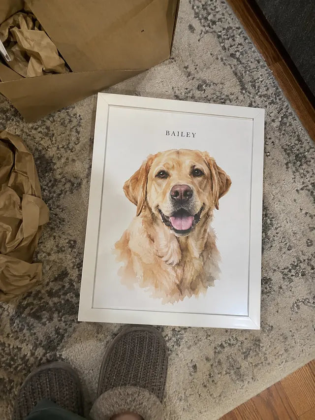 Illustrative Portrait examples featuring Bailey; not a customer photograph