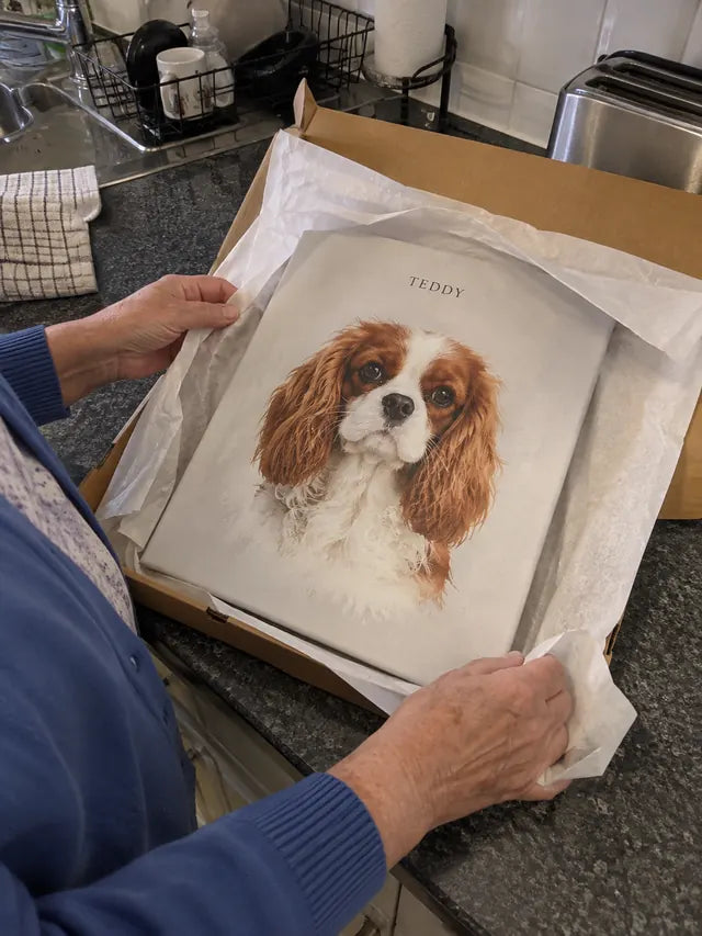 Illustrative Portrait examples featuring Teddy; not a customer photograph