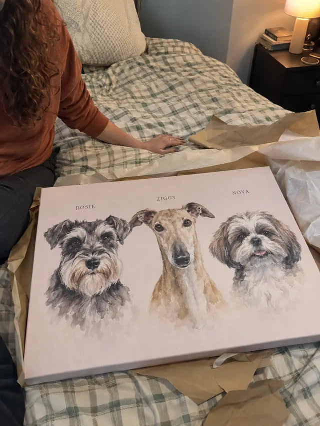 Illustrative Portrait examples featuring Rosie, Ziggy, Nova; not a customer photograph