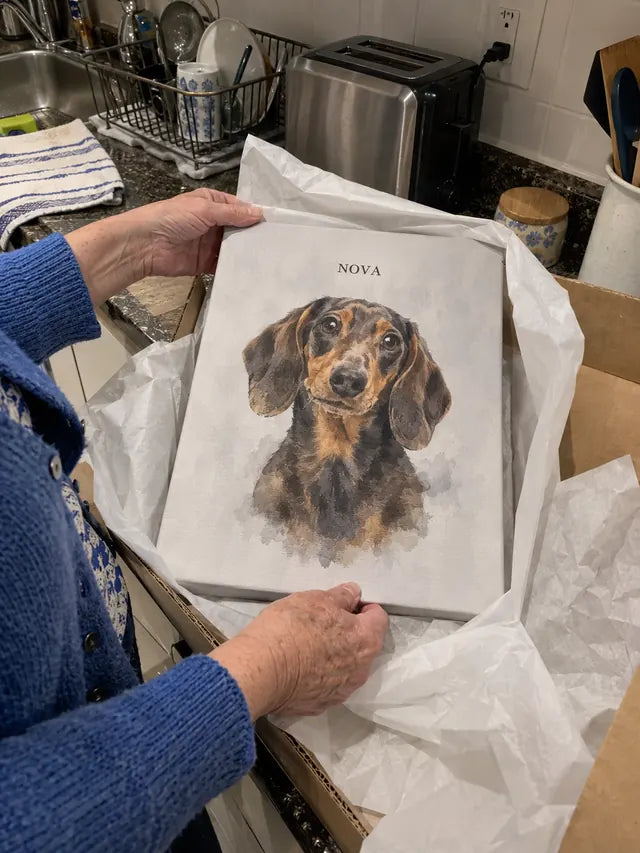 Illustrative Portrait examples featuring Nova; not a customer photograph