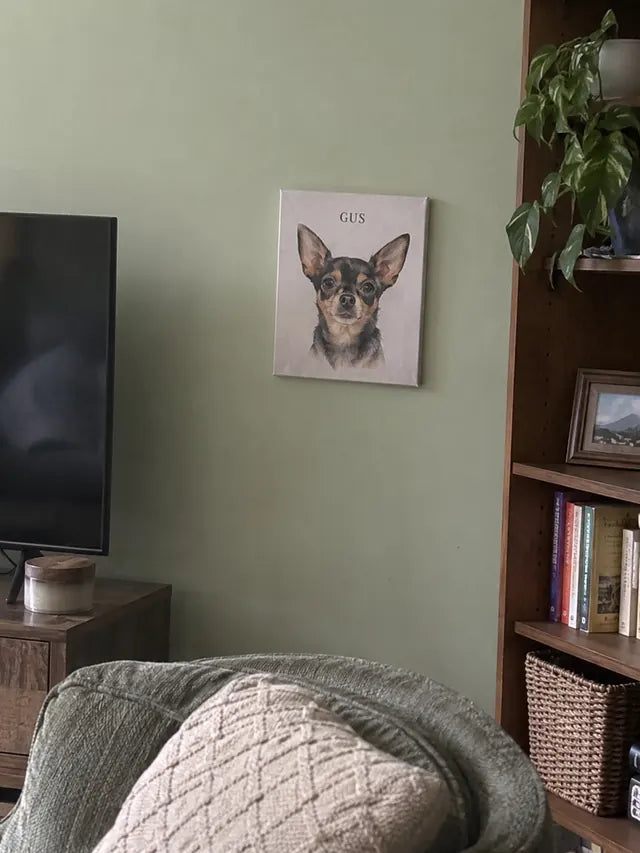 Illustrative Portrait examples featuring Gus; not a customer photograph