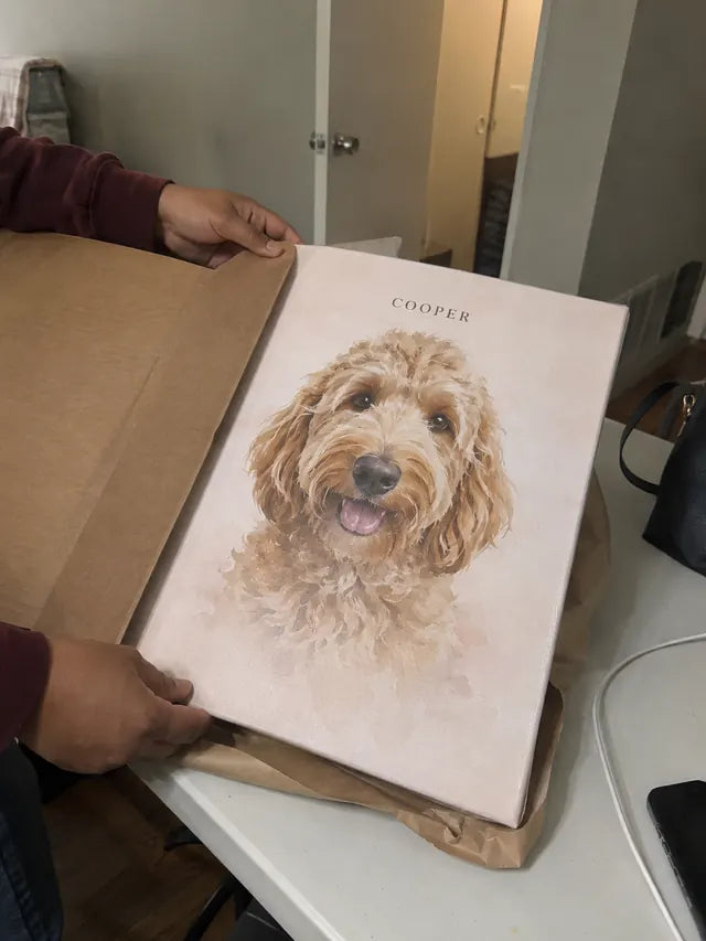 Illustrative Portrait examples featuring Cooper; not a customer photograph