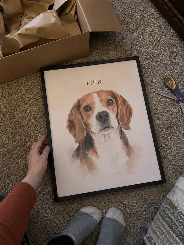 Illustrative Portrait examples featuring Finn; not a customer photograph