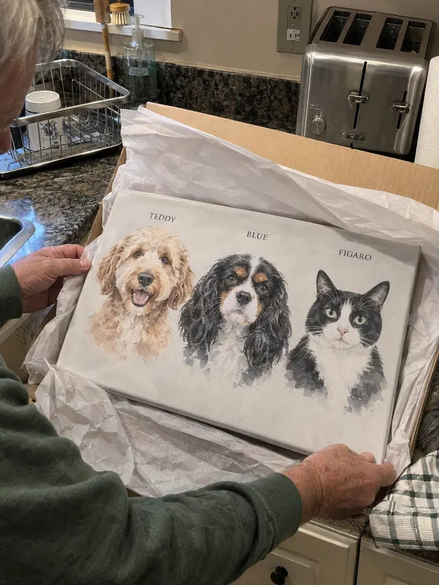 Illustrative Portrait examples featuring Teddy, Blue, Figaro; not a customer photograph