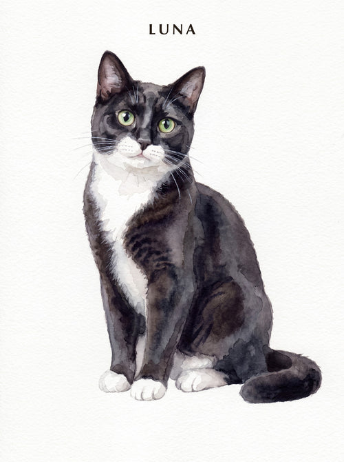 Watercolour pet portrait, one cat — LUNA