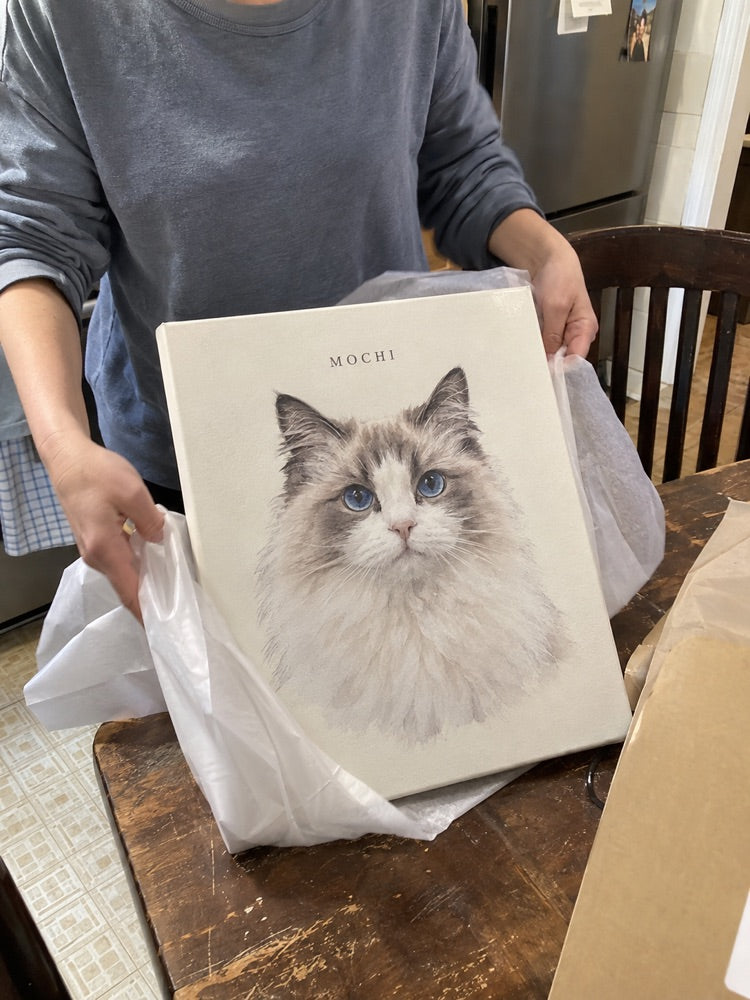 Illustrative casual home photo of Mochi watercolour artwork
