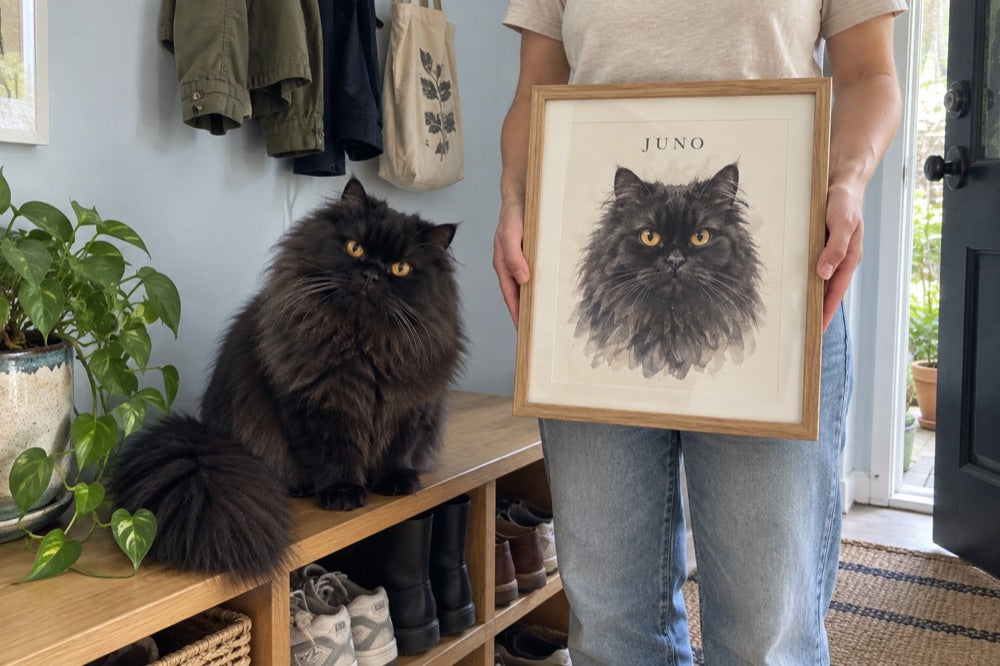 Illustrative home scene of Juno beside their watercolour portrait