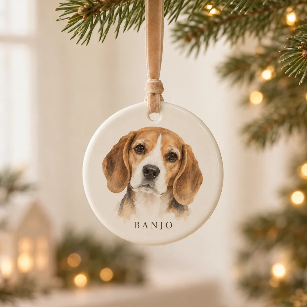 Concept mockup of a personalized pet ornament