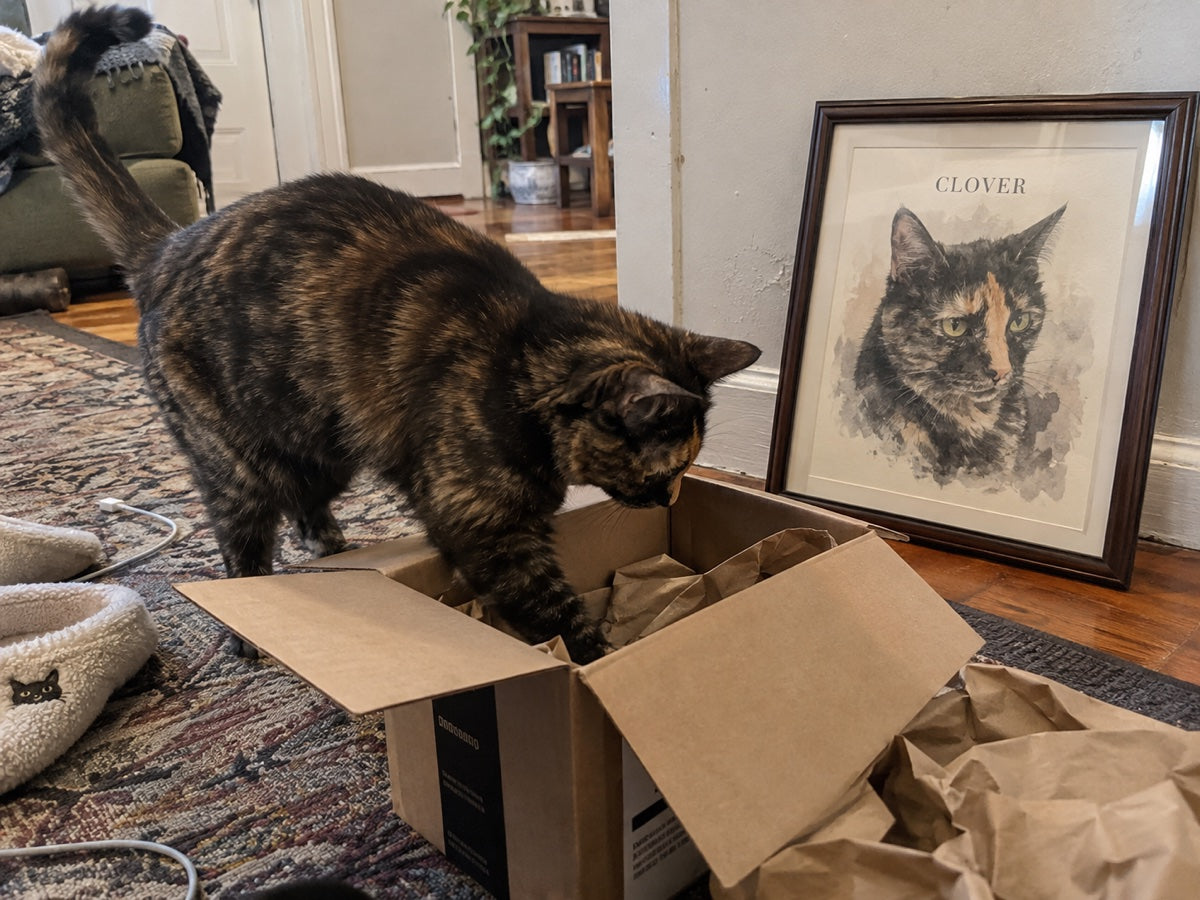Illustrative scene: Clover exploring a shipping box beside her portrait