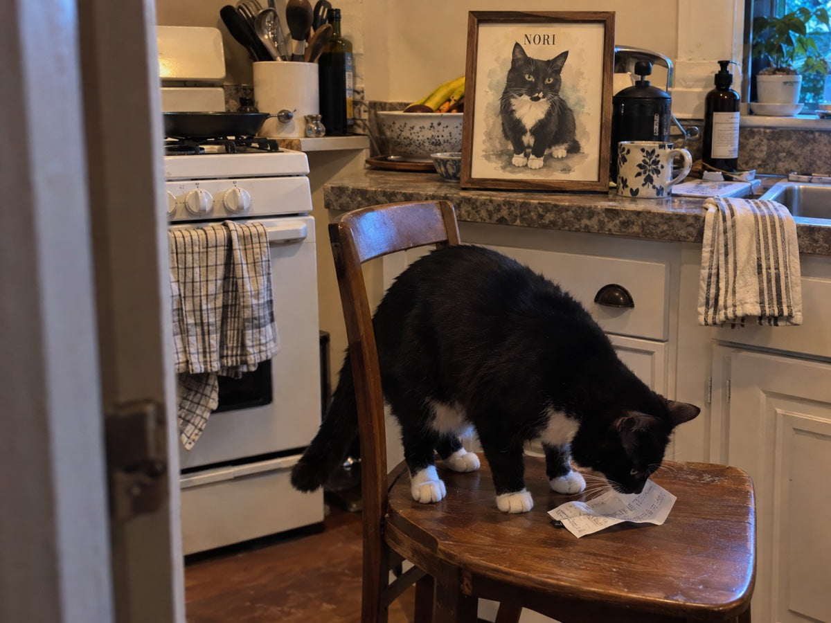 Illustrative scene: Nori sniffing a receipt on a kitchen chair beside his portrait