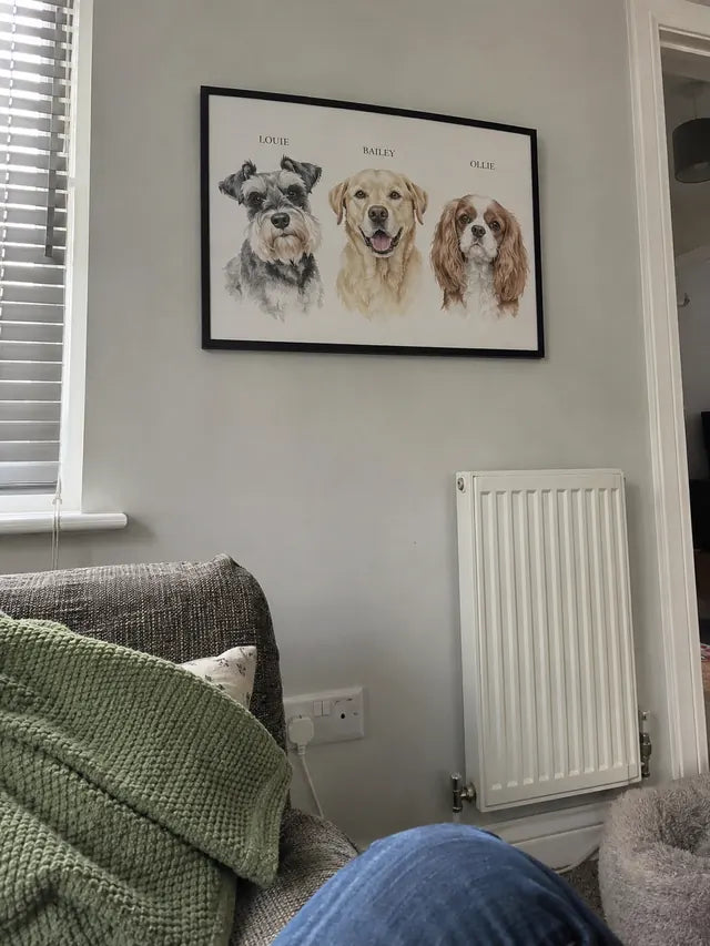 Illustrative Portrait examples featuring Louie, Bailey, Ollie; not a customer photograph