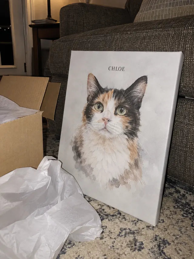 Illustrative Portrait examples featuring Chloe; not a customer photograph