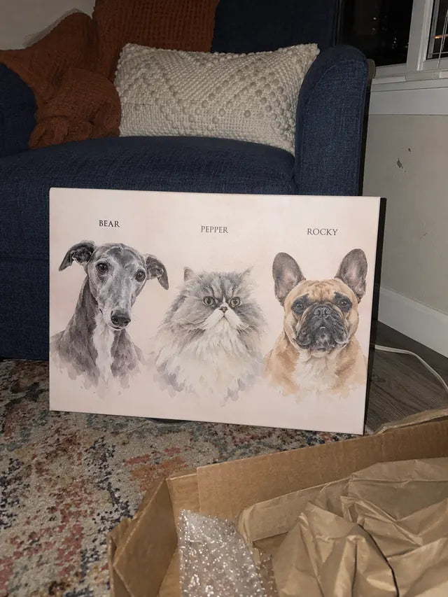 Illustrative Portrait examples featuring Bear, Pepper, Rocky; not a customer photograph