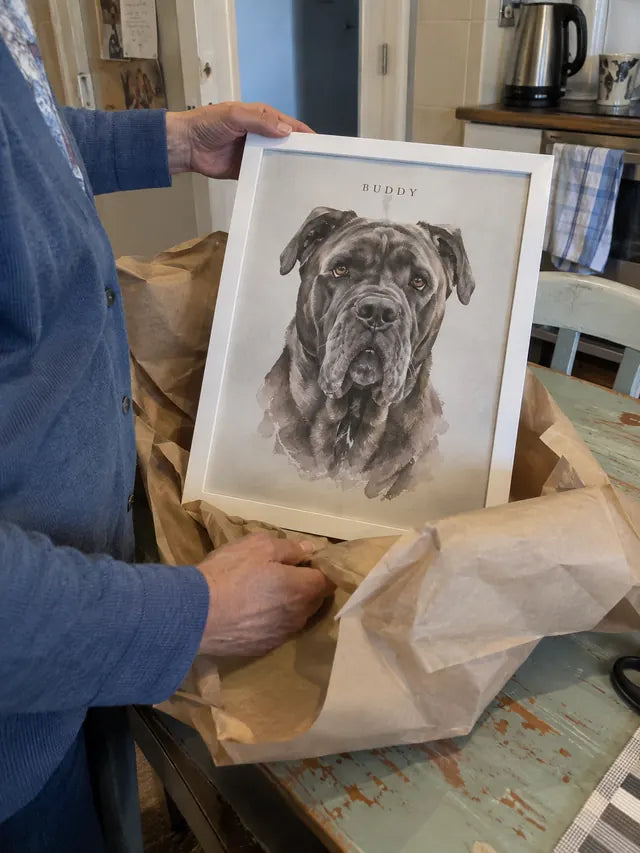 Illustrative Portrait examples featuring Buddy; not a customer photograph