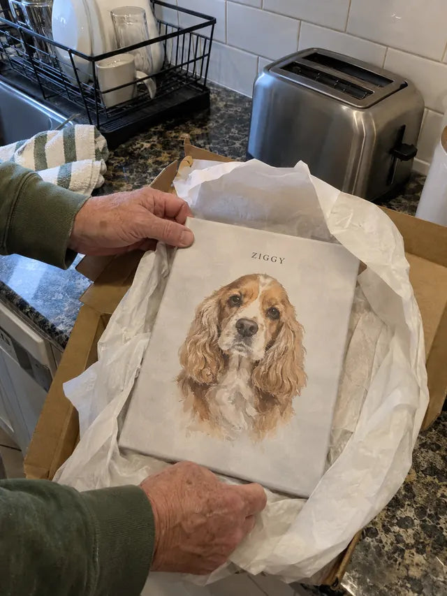 Illustrative Portrait examples featuring Ziggy; not a customer photograph