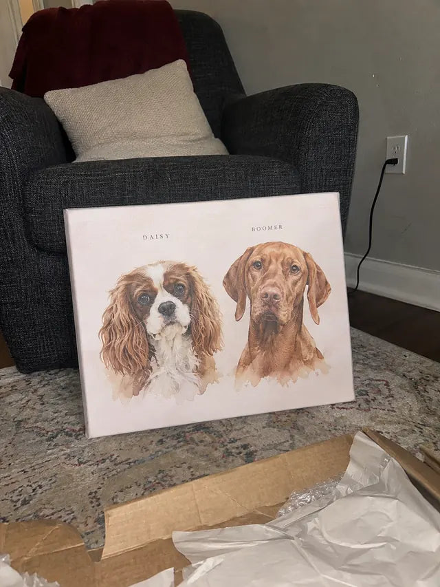 Illustrative Portrait examples featuring Daisy, Boomer; not a customer photograph