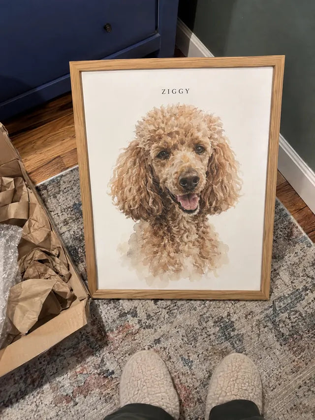 Illustrative Portrait examples featuring Ziggy; not a customer photograph