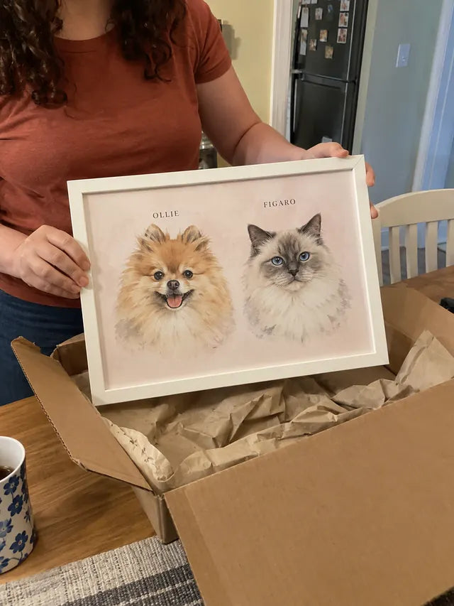 Illustrative portrait of Ollie, Figaro
