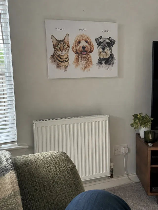 Illustrative portrait of Figaro, Buddy, Moose