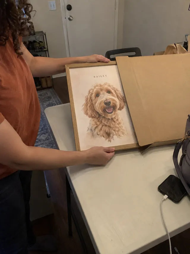 Illustrative portrait of Bailey